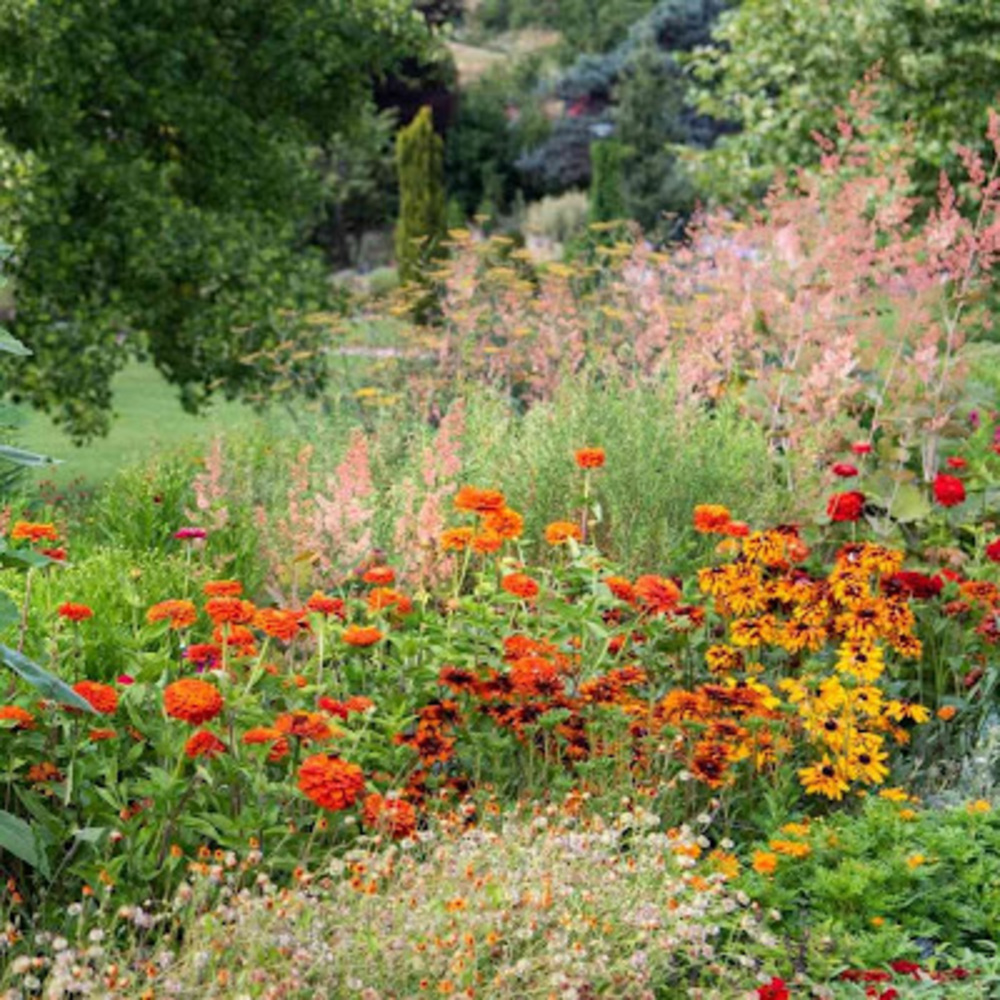 Meet your Posher, Clarity